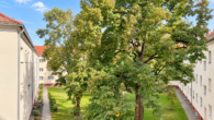 Aussicht Balkon 2 - Luxuriöser Altbaucharme fußläufig zum Heiligen See