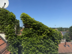 Dachterrasse - Einzigartige Galeriewohnung über den Dächern der Stadt