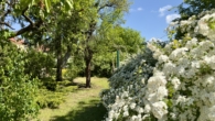 Gartenimpression 2 - EFH mit zusätzlichem Bungalow, weiterem Baufeld am Wald in Potsdam
