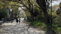 Kirchweg - Insel Hiddensee – Baugrundstück für 2 Häuser mit ges. 350 m² Wfl.