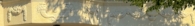 Design - Einzigartige DG – Galeriewohnung über den Dächern der Stadt mit Aufzug