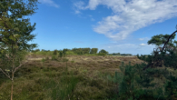 Blick in die Heide - 1 - Ferienhaus in der Heide – Alleinlage am Meer