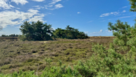 Heideblick - Ferienhaus in der Heide – Alleinlage am Meer